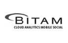 Logo Bitam Gris
